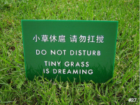 如何提高翻译工作的质量