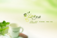 深圳创译的价格是怎么确定的？