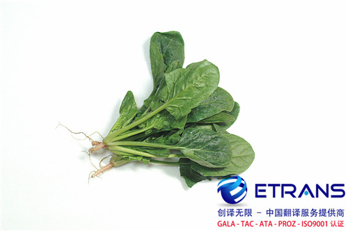 翻译证件时需要知道的小技巧，让翻译事半功倍！