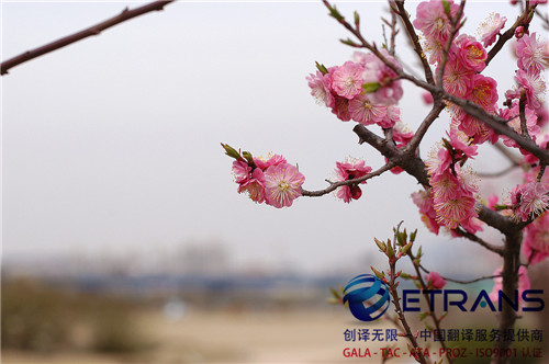 翻译公司在翻译中如何避免中式英语呢？