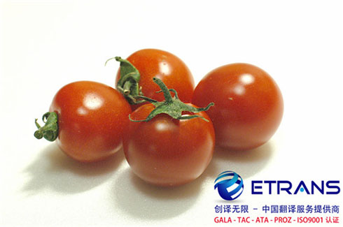 做好图书翻译的条件有哪些？