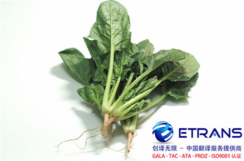 进行论文翻译要注意这些问题