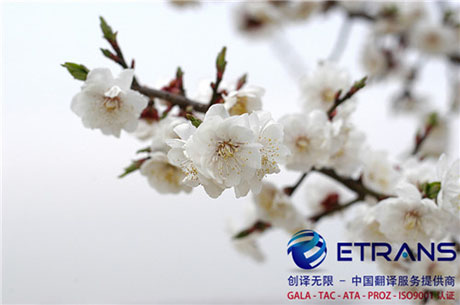 医学翻译专业性强，这些事项不容忽视！